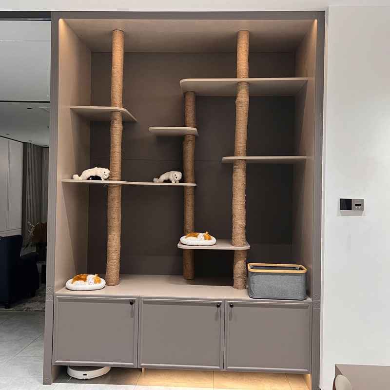 پالتو جانوروں کی خلائی کابینہ کو جدید گھروں کے لئے کیا انتخاب بناتا ہے؟